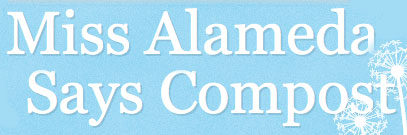 Miss Alameda Blog Spot